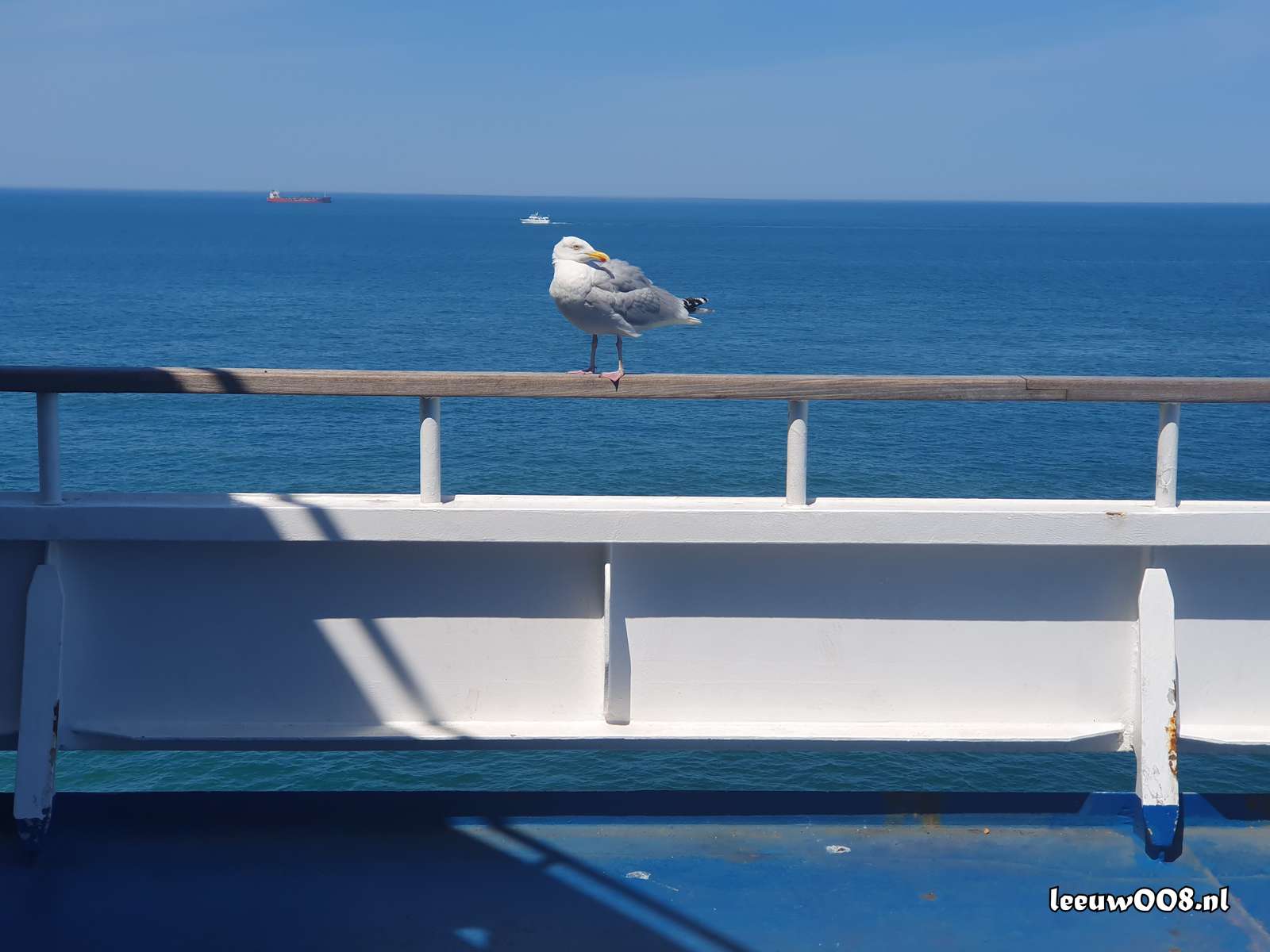 2025 - 20250621144552