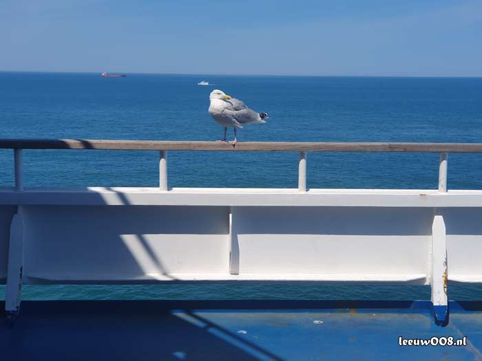 2025 - 20250621144552