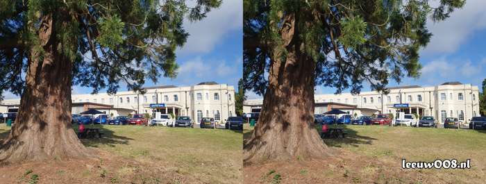 2025 - 20250622082938