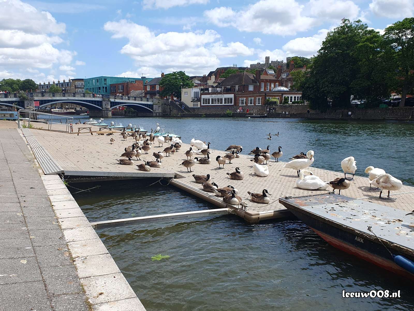 2025 - 20250622121237