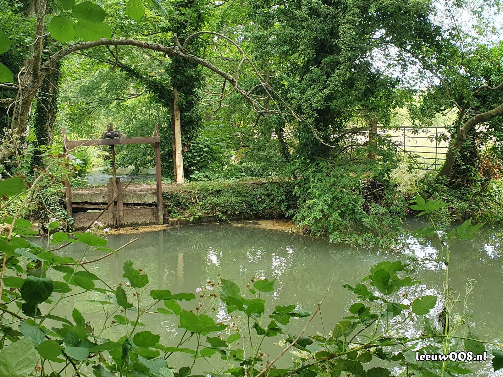 2025 - 20250623113043