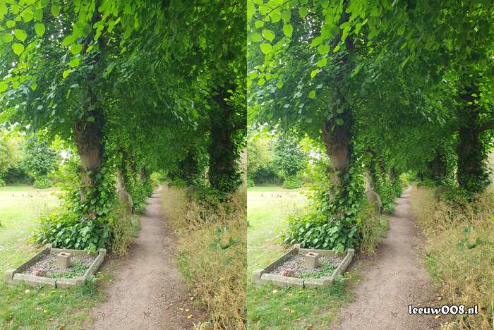 2025 - 20250623113523