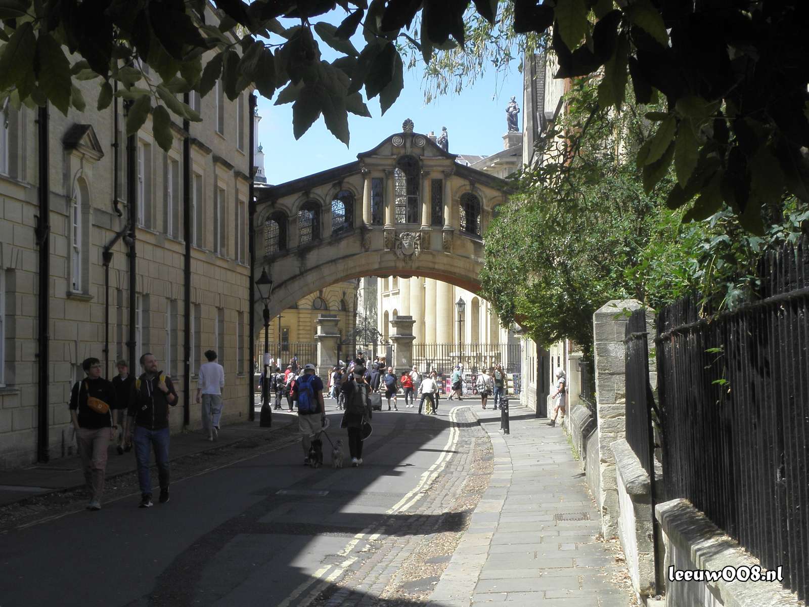 2025 - 20250624132805