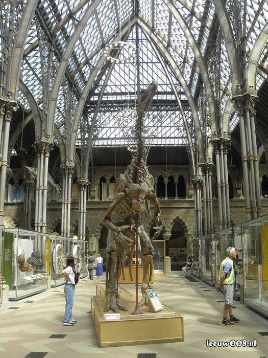 2025 - 20250624151828