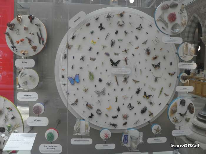 2025 - 20250624151839