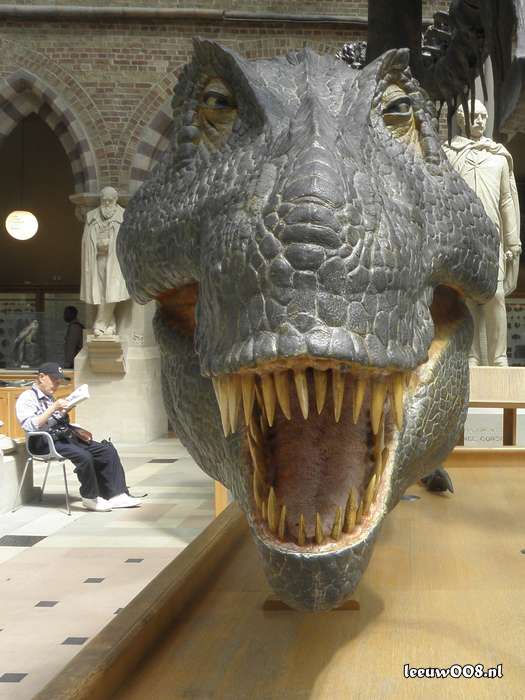 2025 - 20250624152014