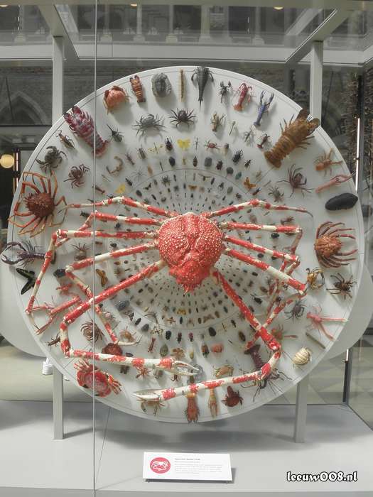 2025 - 20250624152029