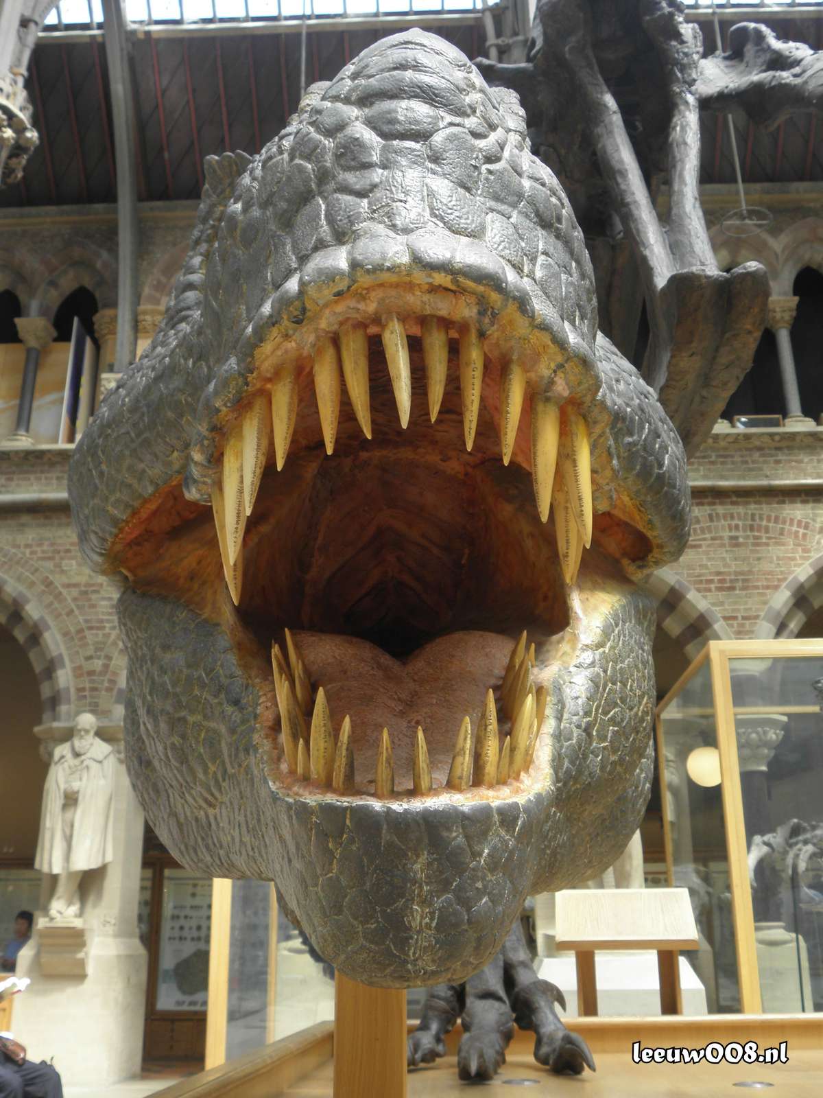 2025 - 20250624152116