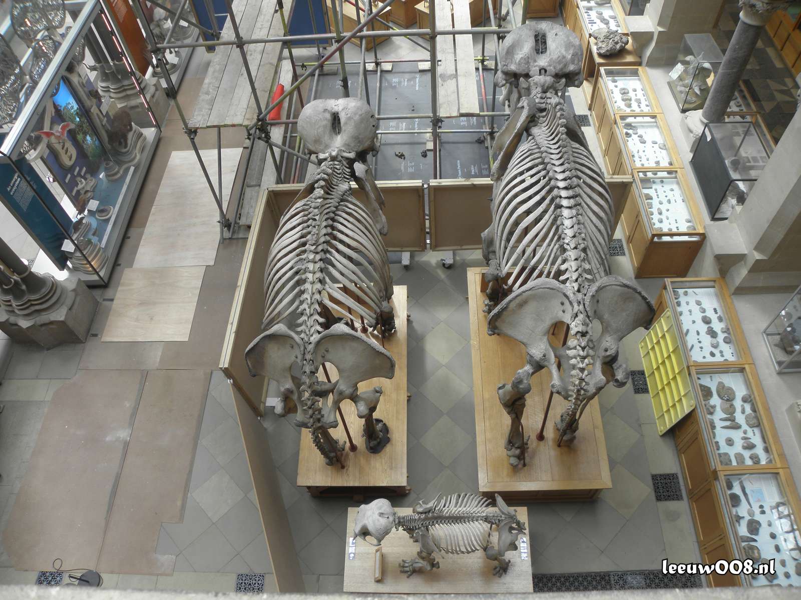 2025 - 20250624154014