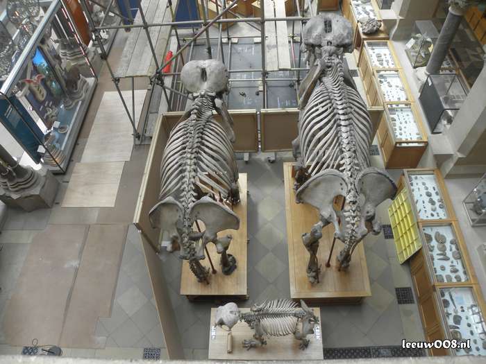 2025 - 20250624154014