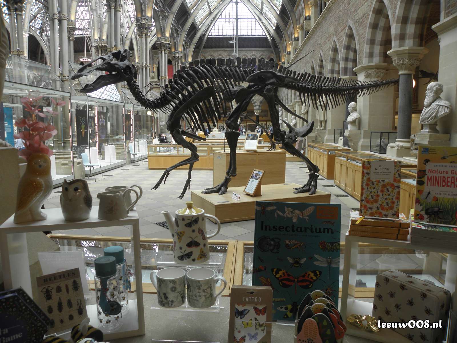 2025 - 20250624154629