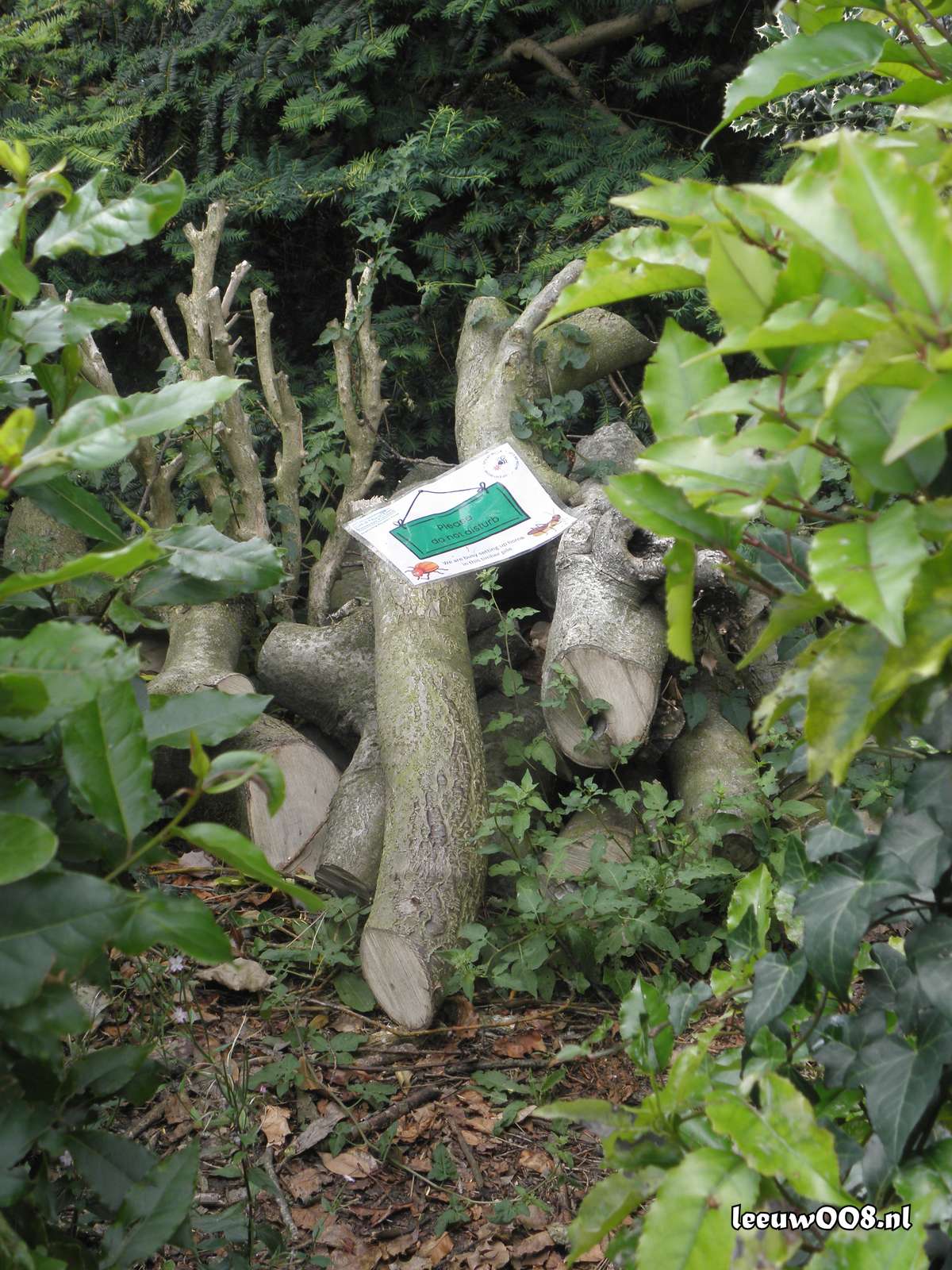 2025 - 20250625123009