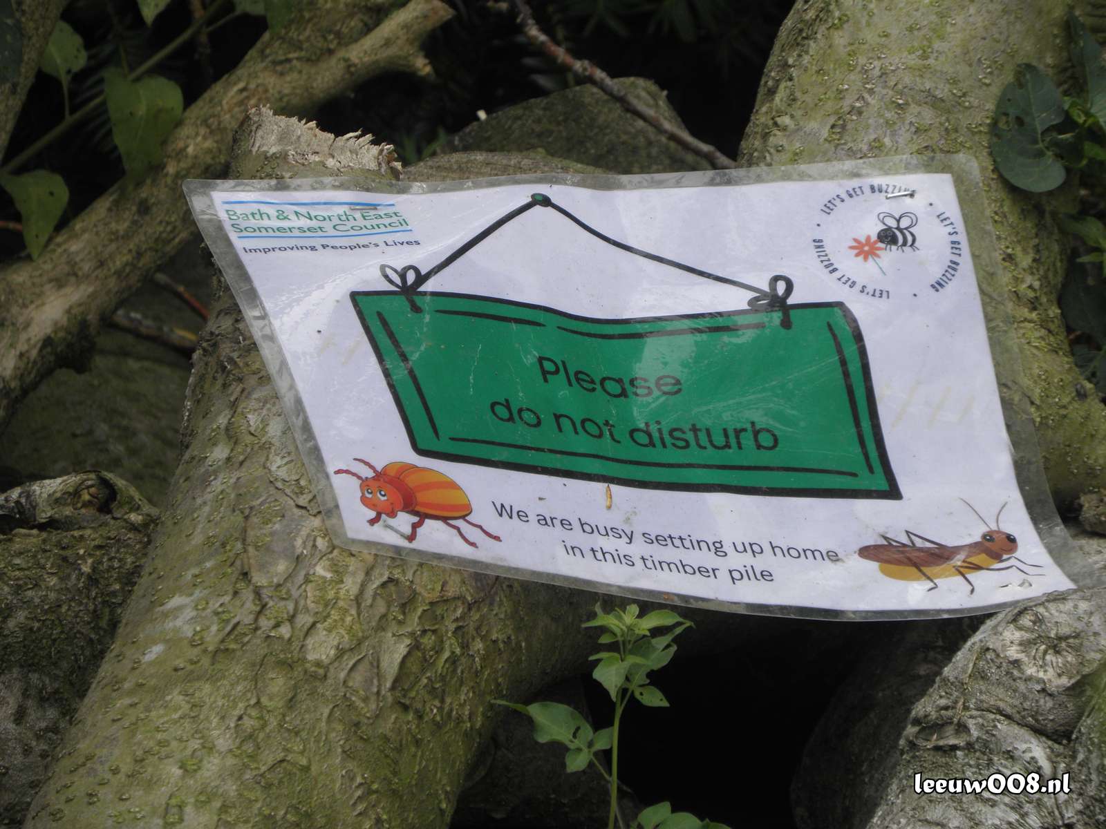 2025 - 20250625123017