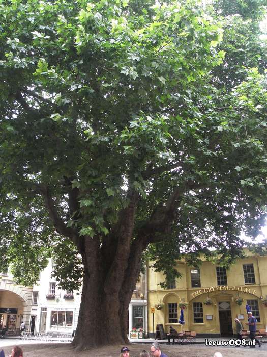 2025 - 20250625130022