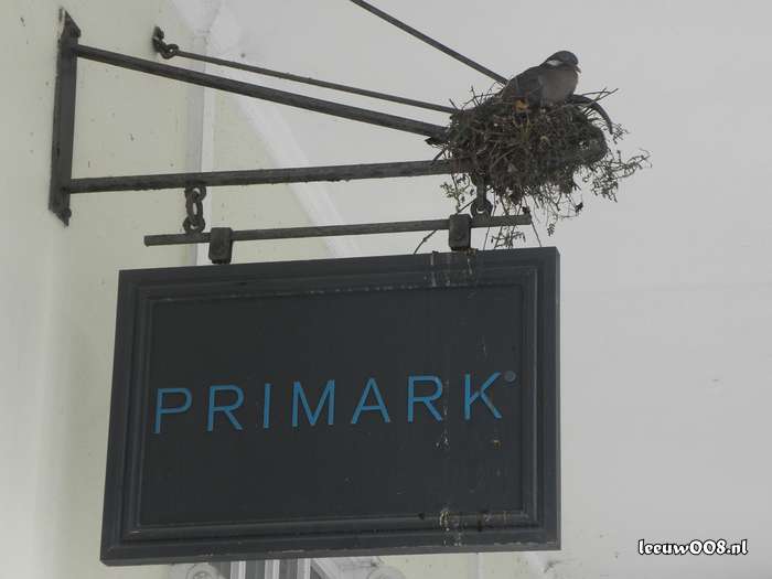 2025 - 20250625131426