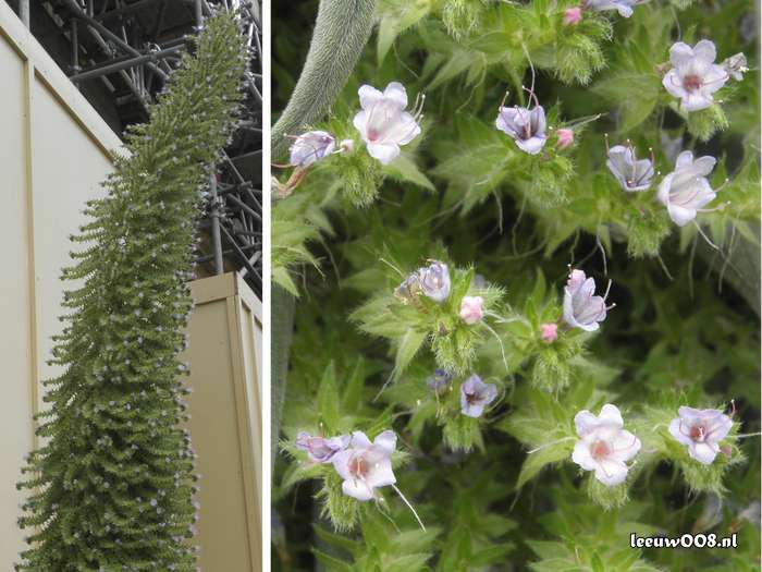 2025 - 20250627140325