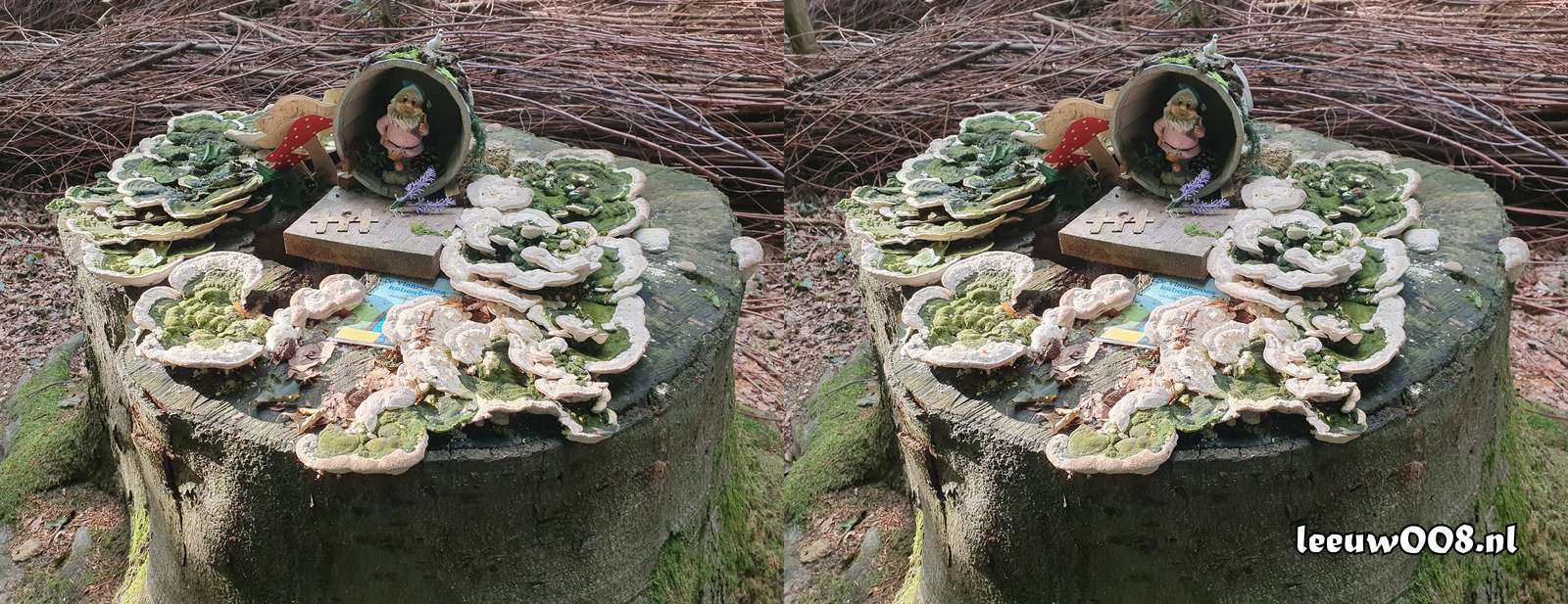 2025 - 20250711183634