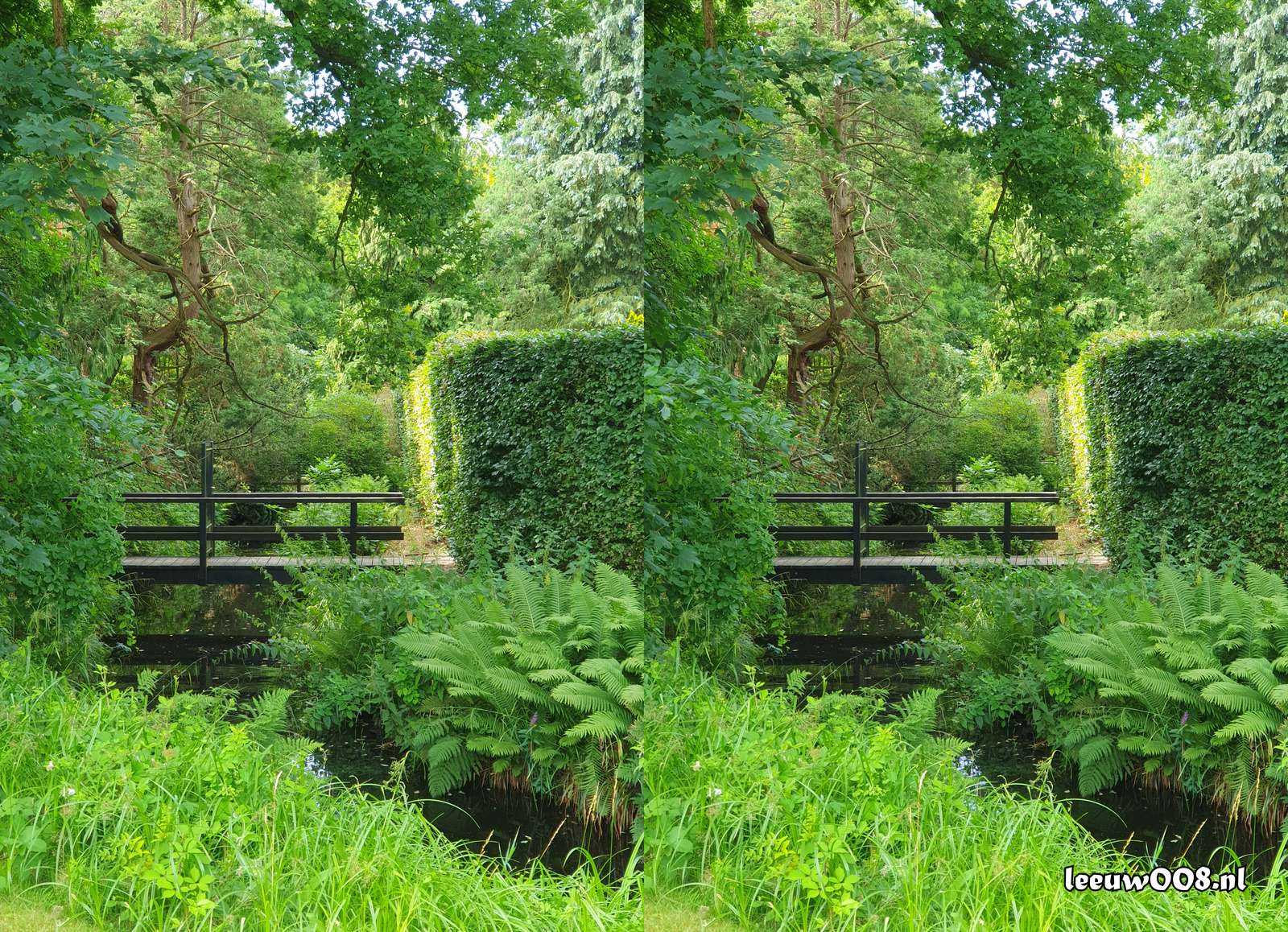 2025 - 20250712111334