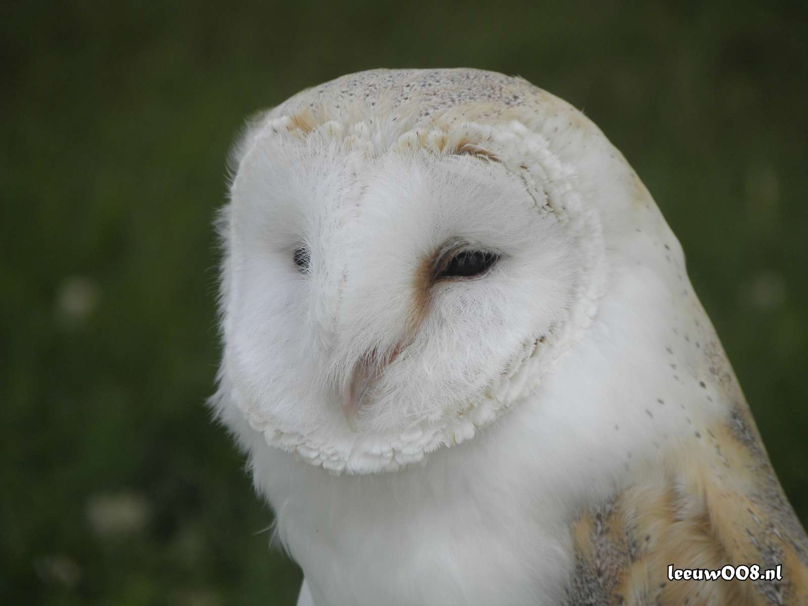 2025 - 20250712120707