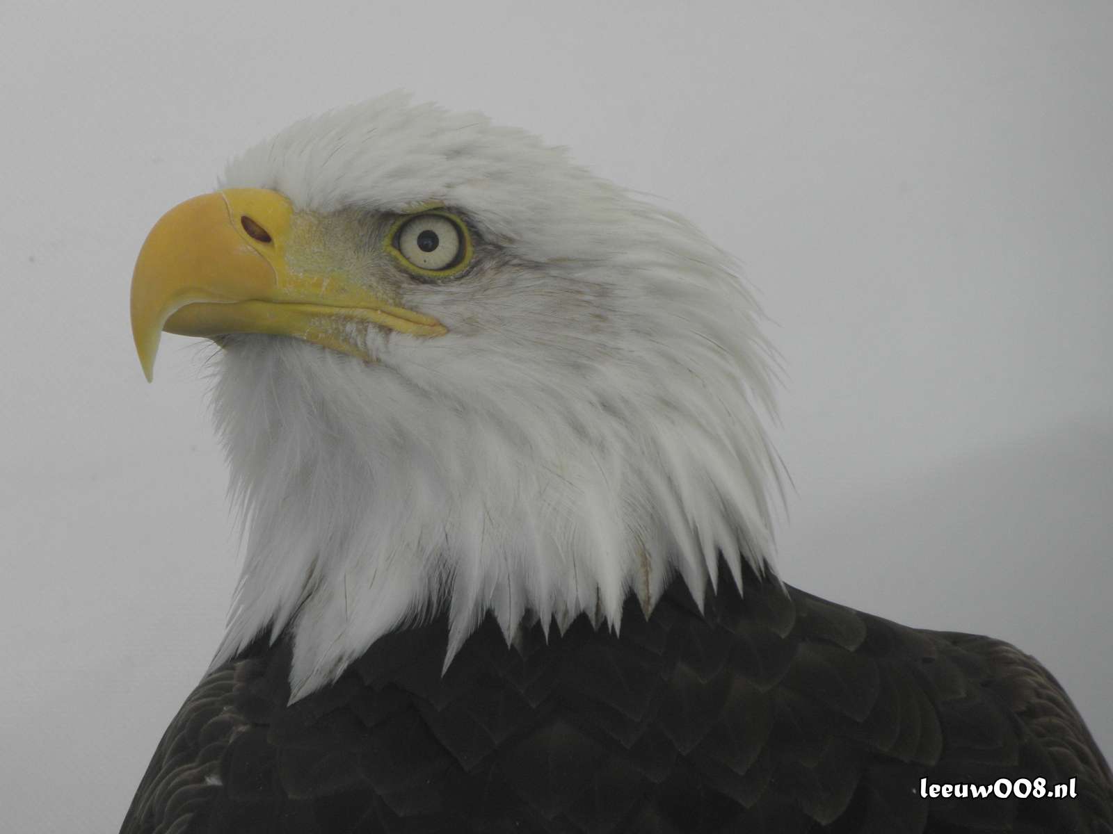 2025 - 20250712120738