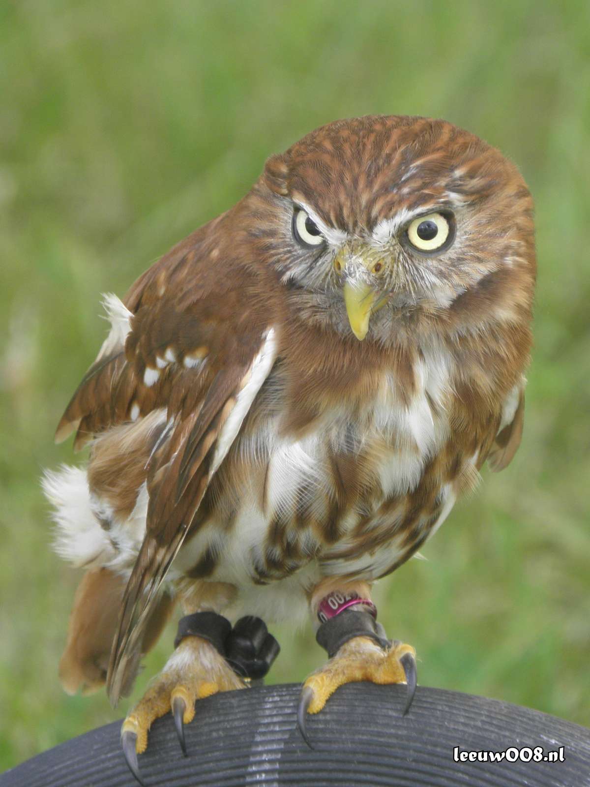 2025 - 20250712121014