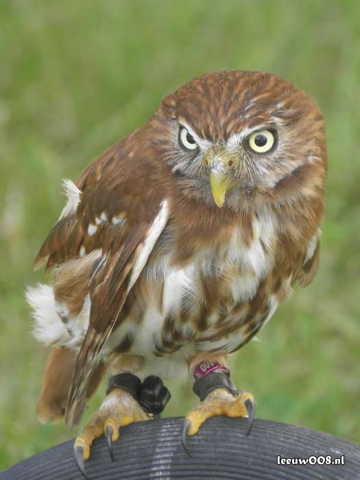 2025 - 20250712121014