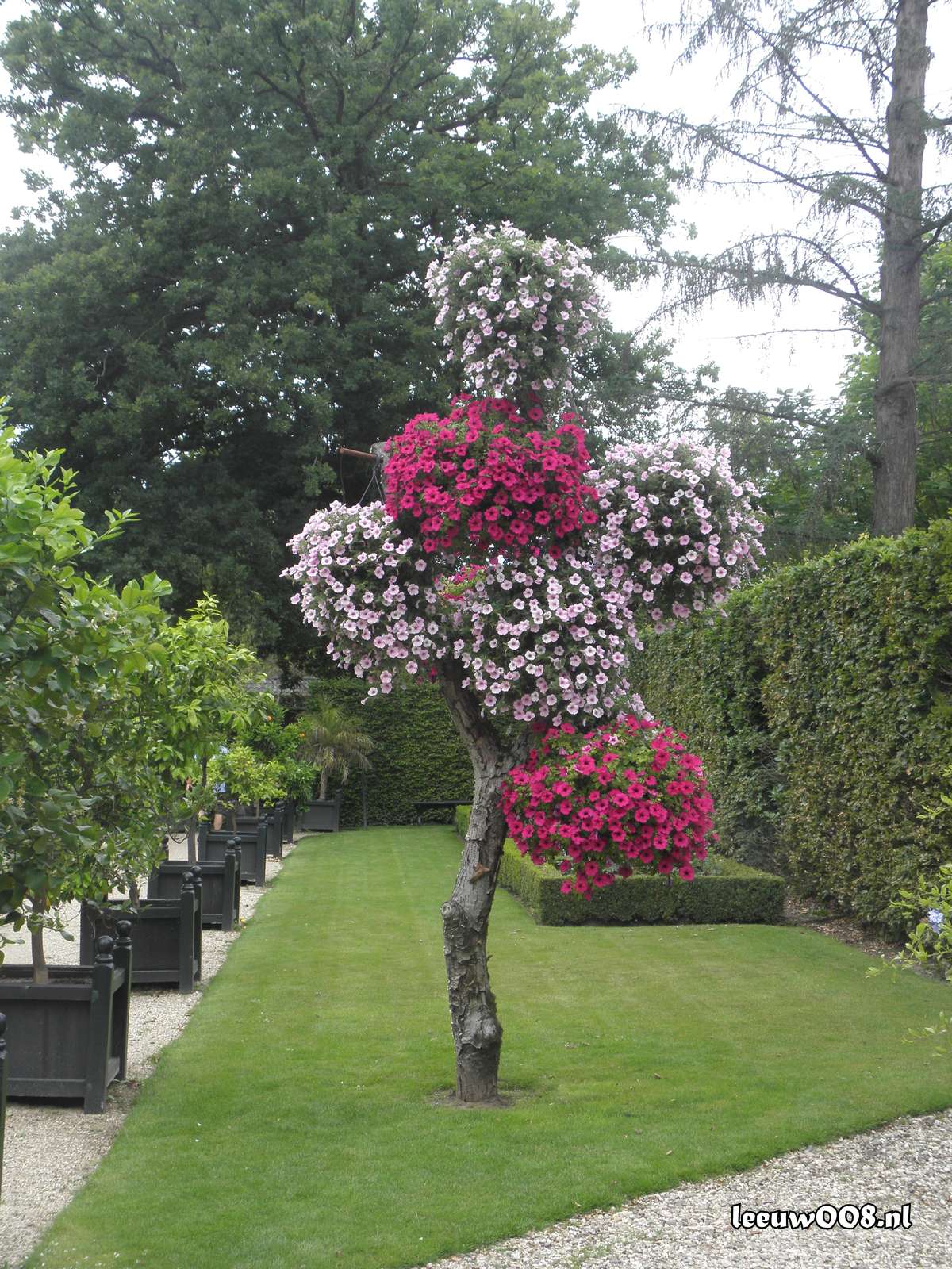 2025 - 20250712145804