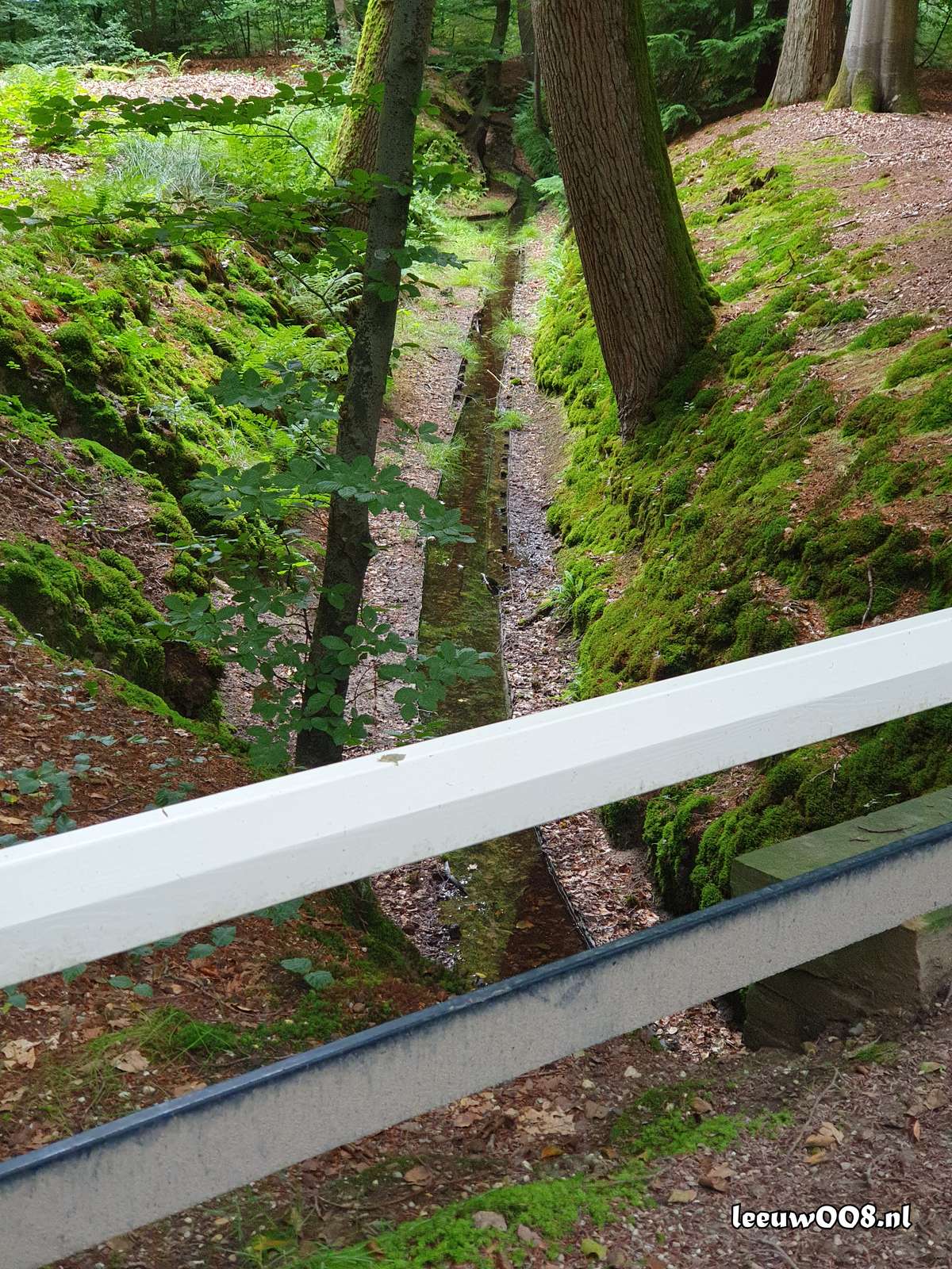 2025 - 20250725135242