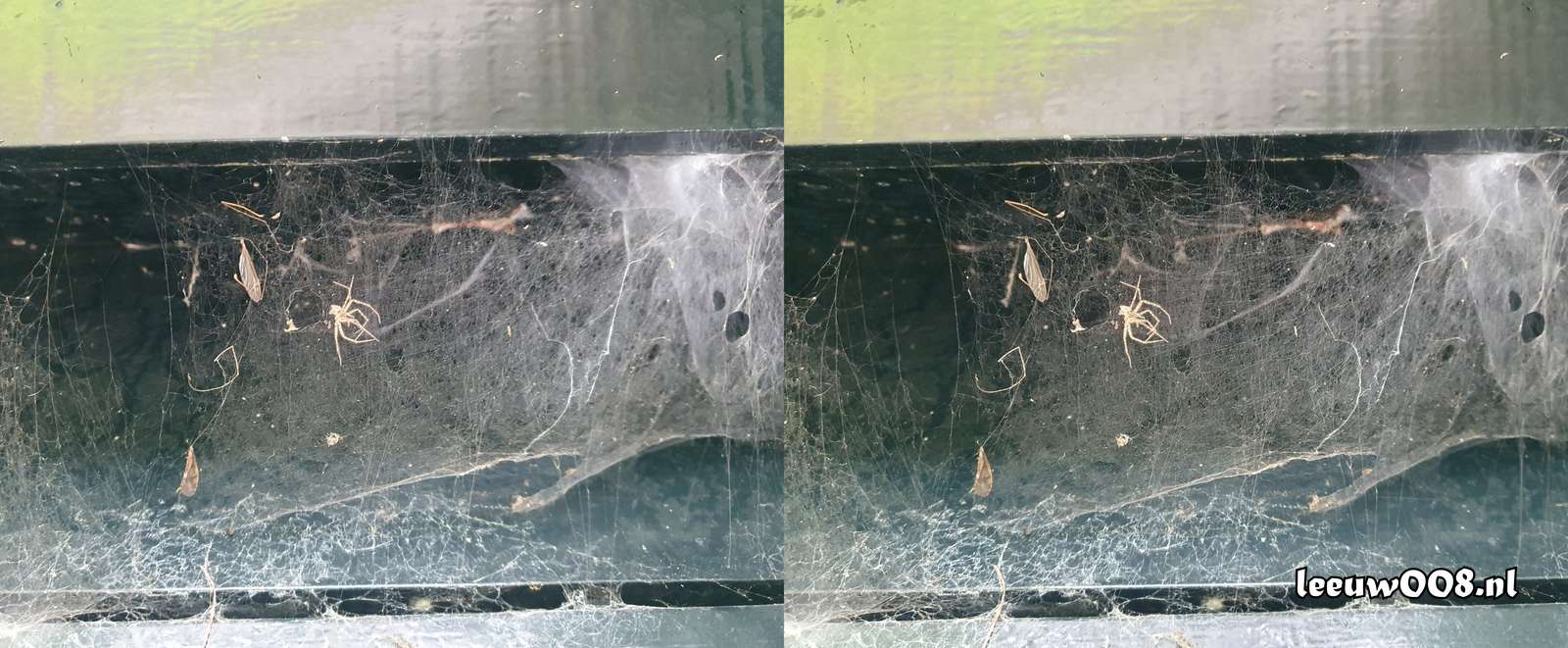 2025 - 20250725135514