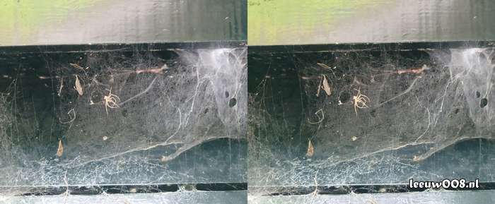 2025 - 20250725135514