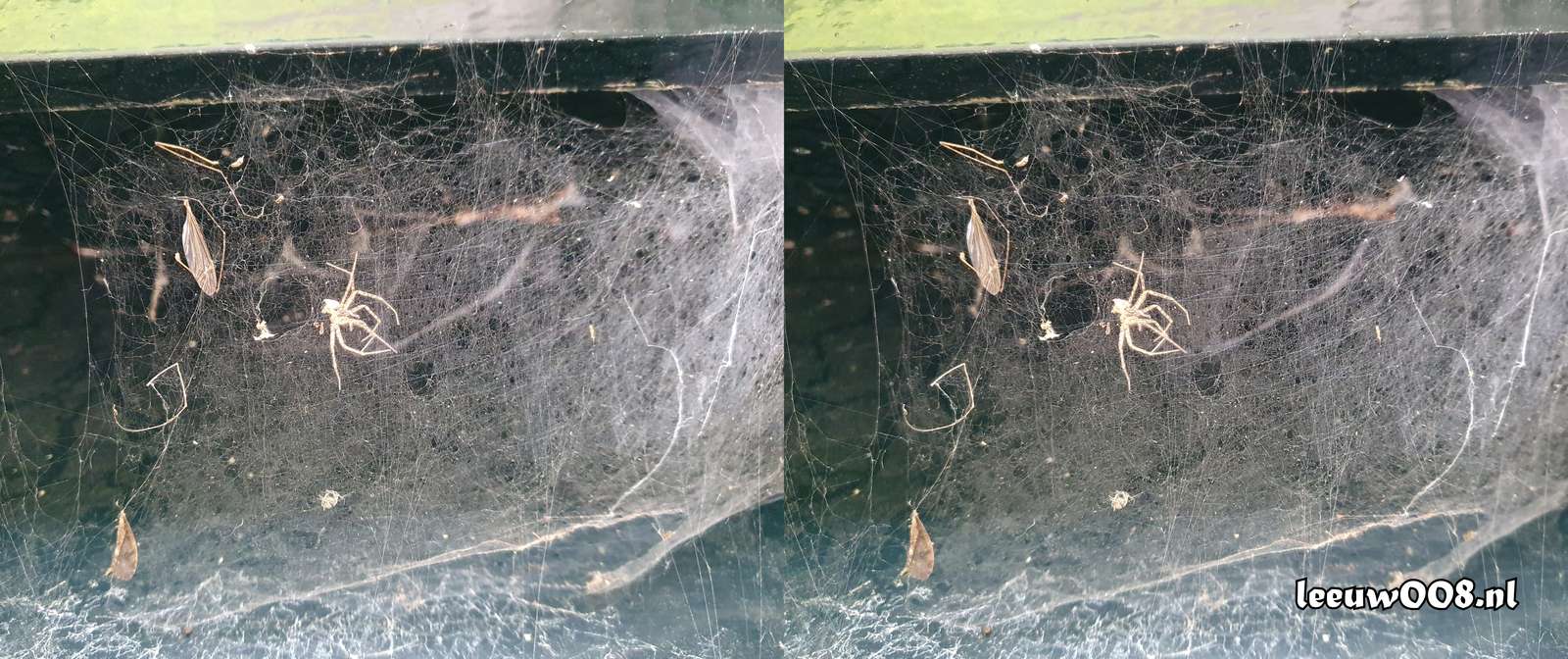 2025 - 20250725135526