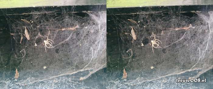 2025 - 20250725135526