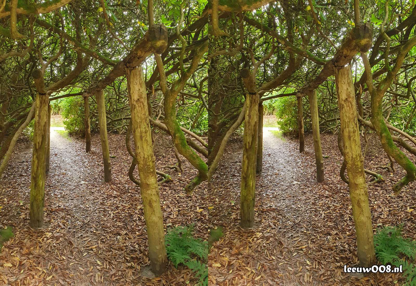 2025 - 20250725135634