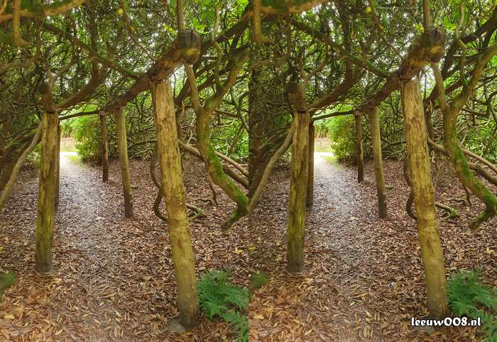 2025 - 20250725135634