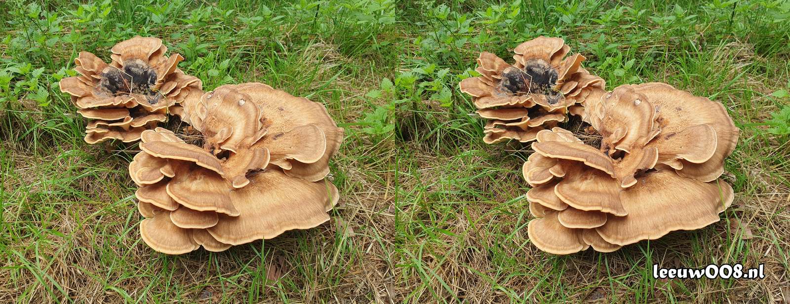 2025 - 20250725140058