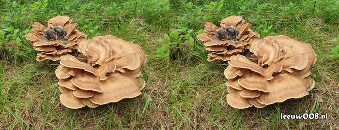 2025 - 20250725140058