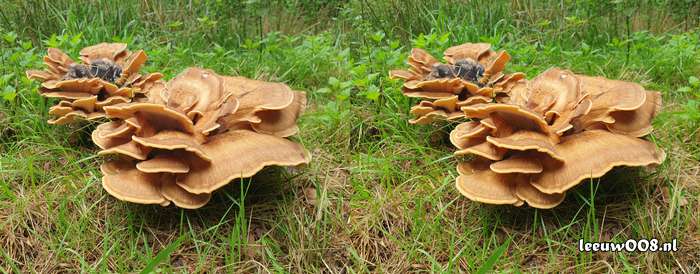 2025 - 20250725140109