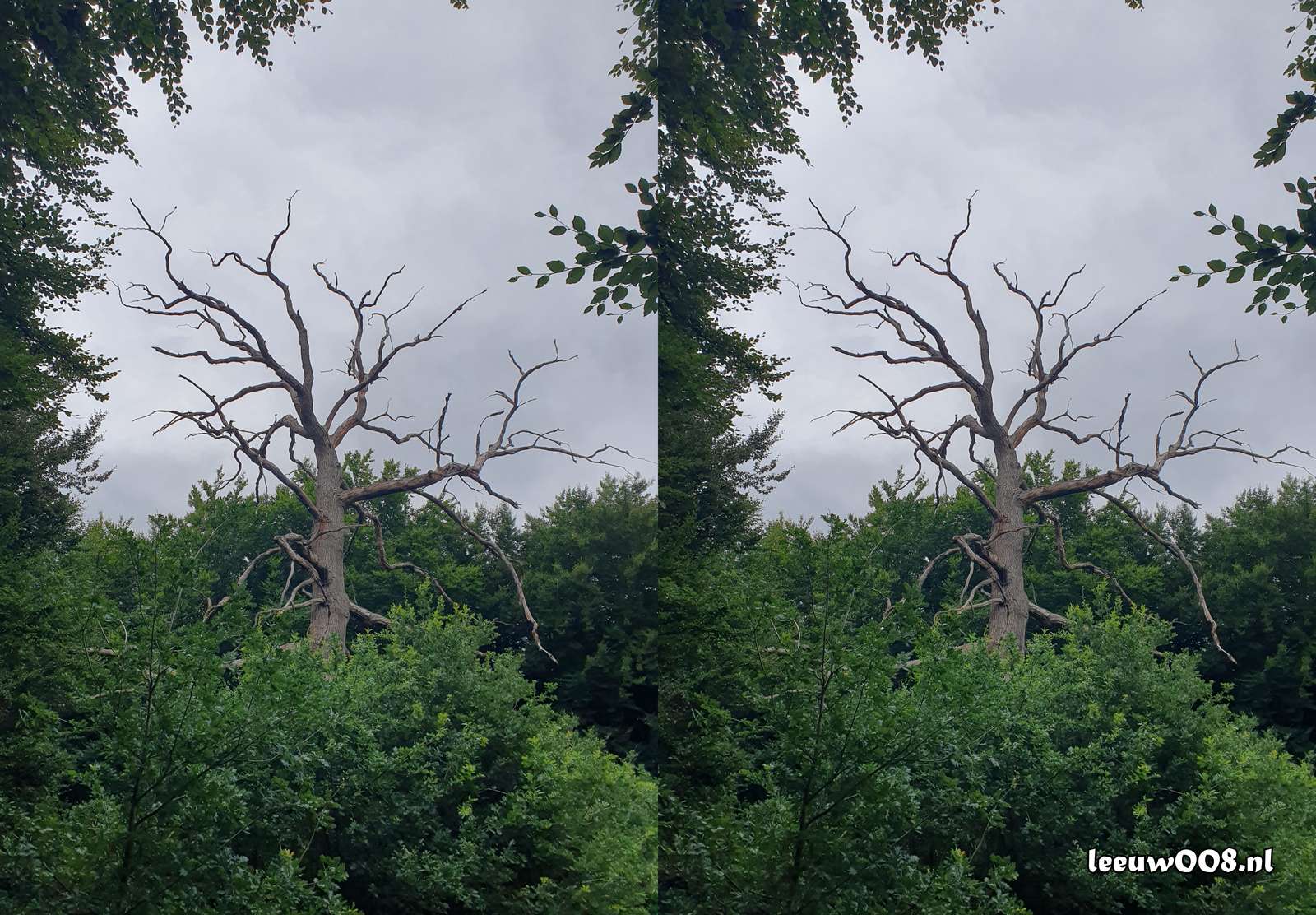 2025 - 20250725140225