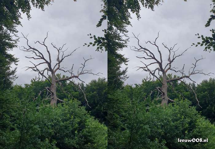 2025 - 20250725140225