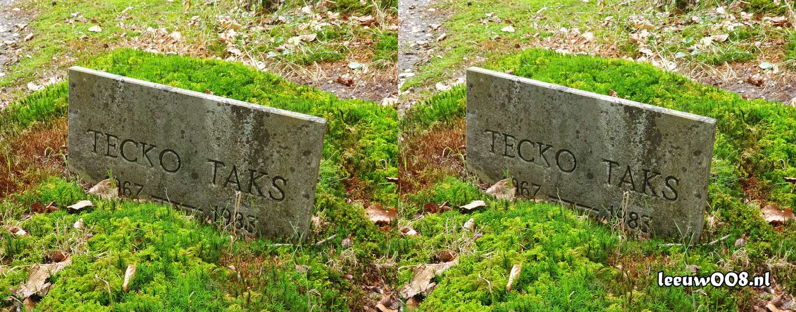 2025 - 20250725140907