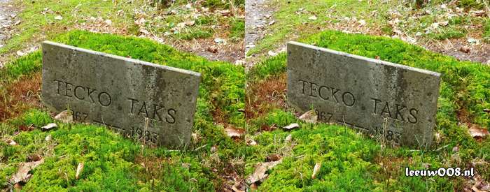 2025 - 20250725140907