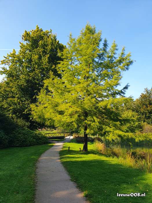 2025 - 20250928140456