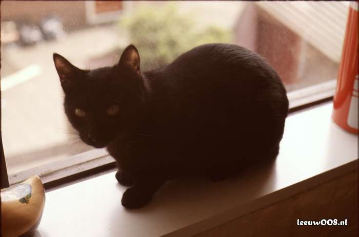 1977 - DD01-2_77-78-17