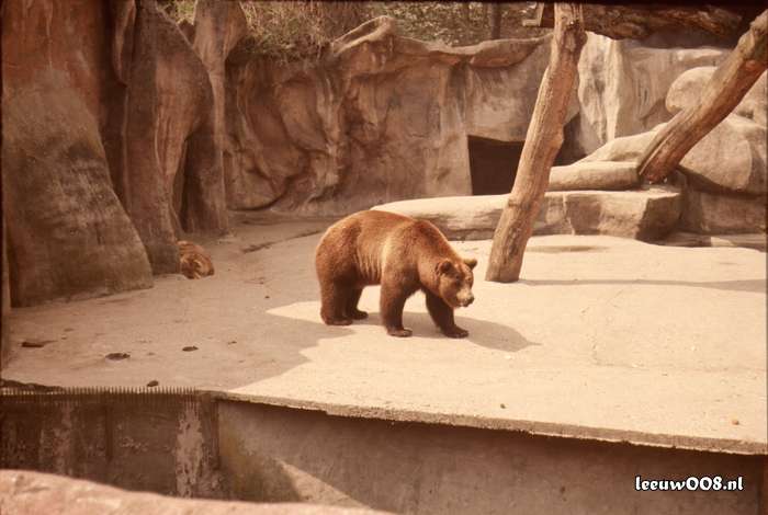 1977 - DD01-2_77-78-18