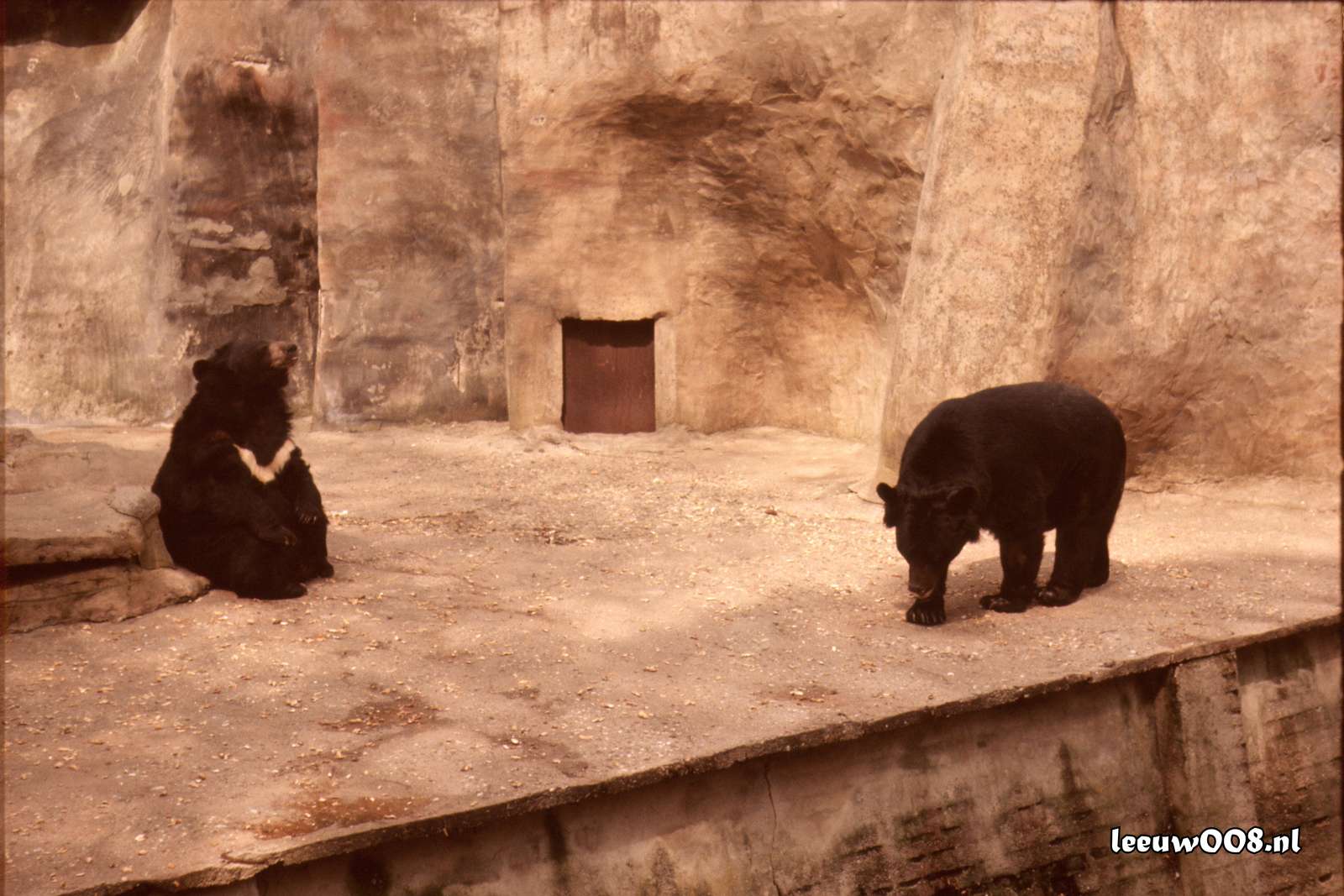 1977 - DD01-2_77-78-19