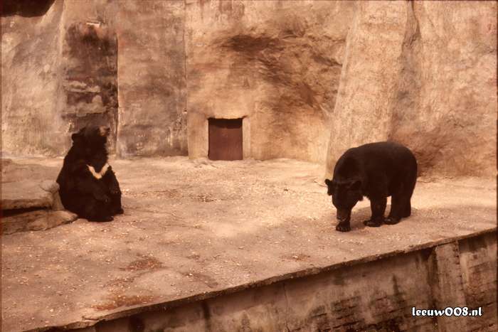 1977 - DD01-2_77-78-19