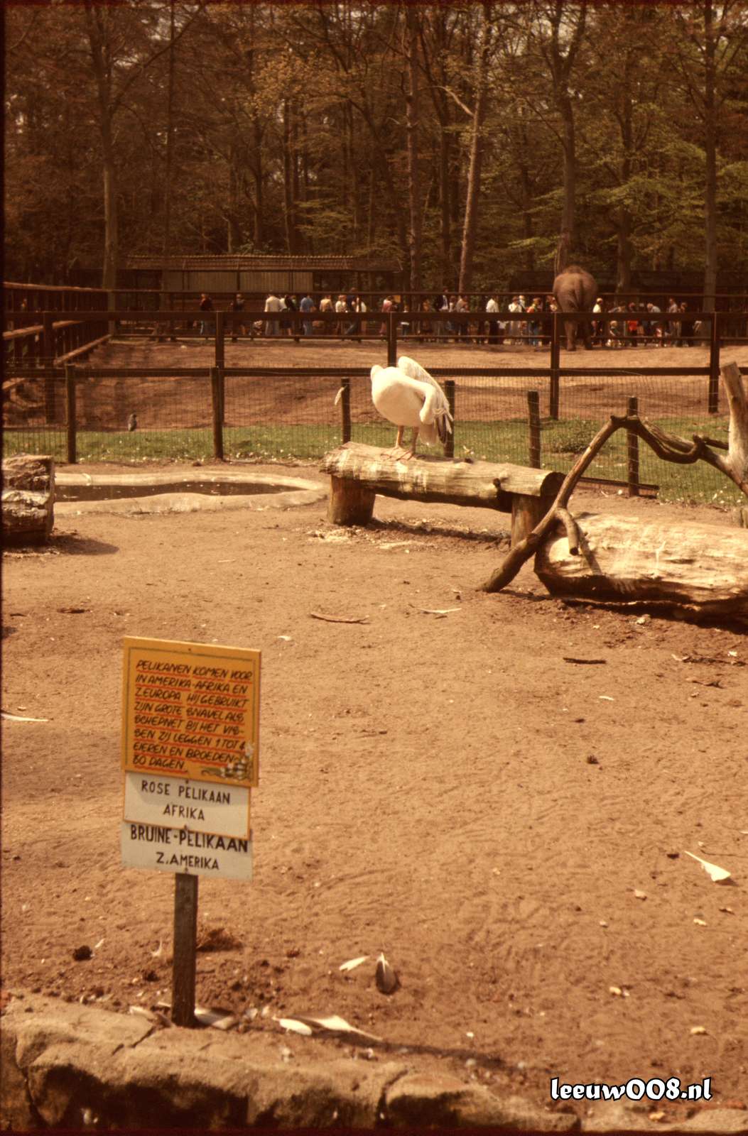 1977 - DD01-2_77-78-20