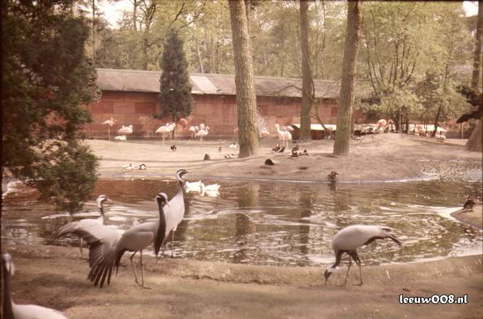 1977 - DD01-2_77-78-21