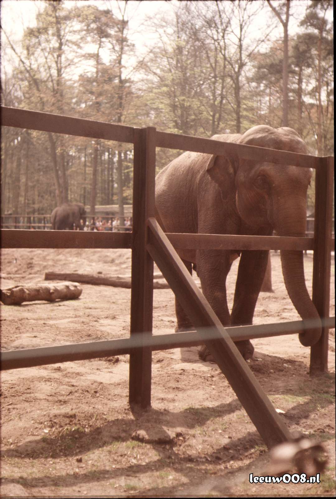 1977 - DD01-2_77-78-22