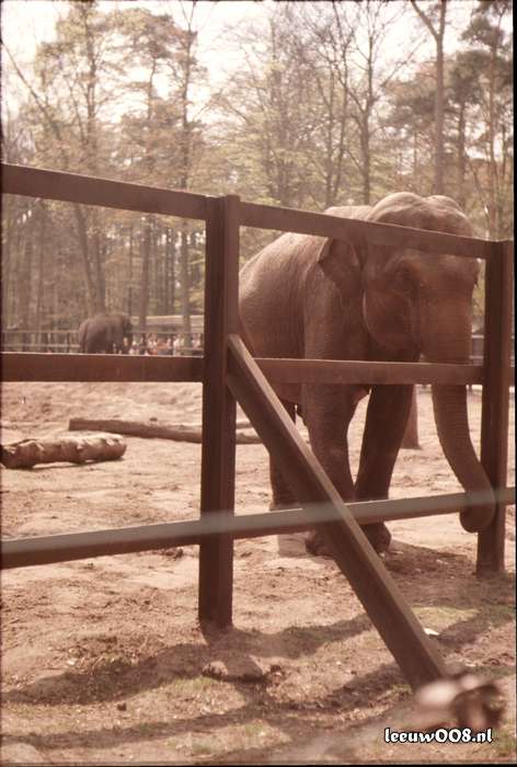 1977 - DD01-2_77-78-22